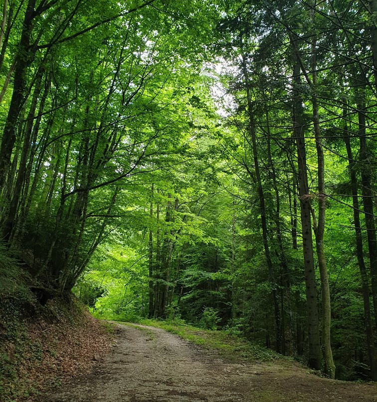 Zasticeni pejzaz - Protected Landscape Konjuh-Banovici必去景点