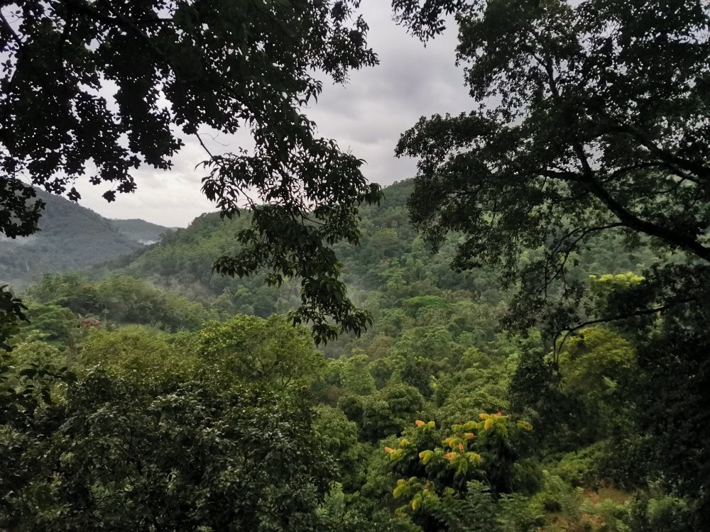 Paradise Eco Garden主图