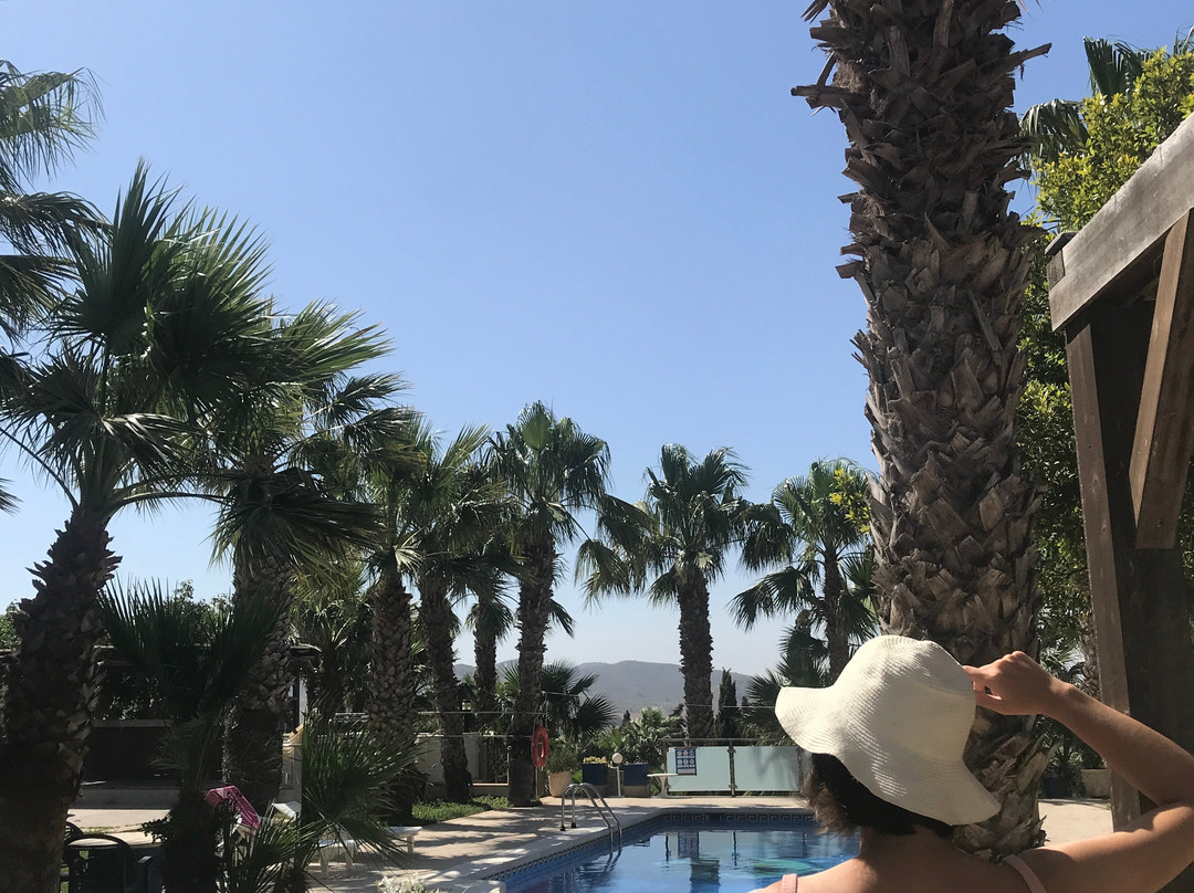 Finca las Palmeras