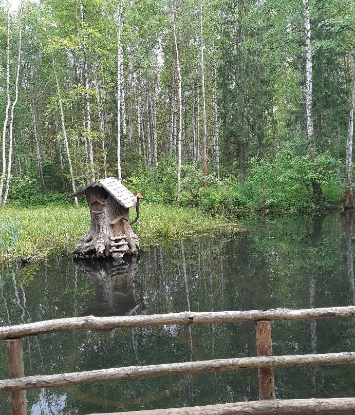 Chernyayevsky Forest景点图片