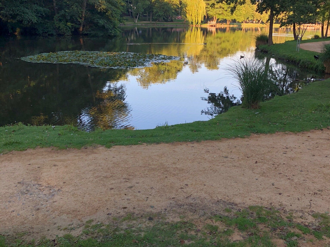 Molenvijverpark-亨克必去景点