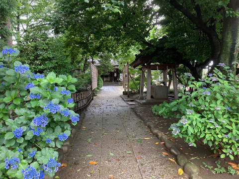 Hikawa Shrine-北本市必去景点