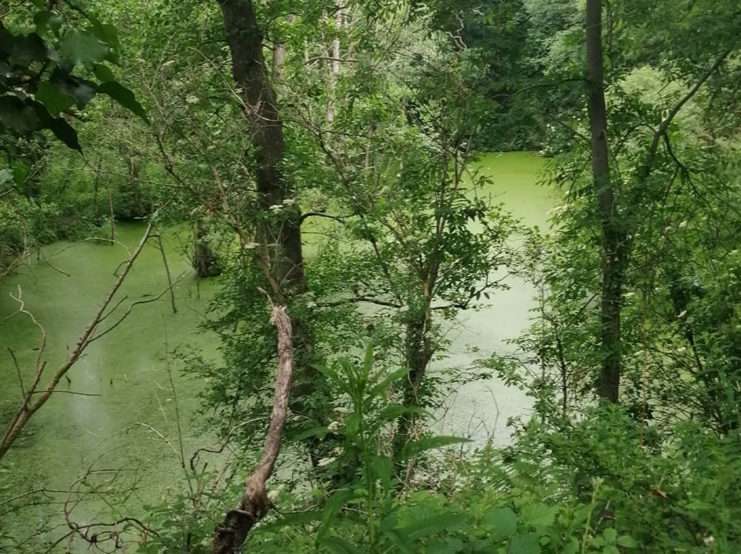 Quarry Banks-Cumwhinton必去景点