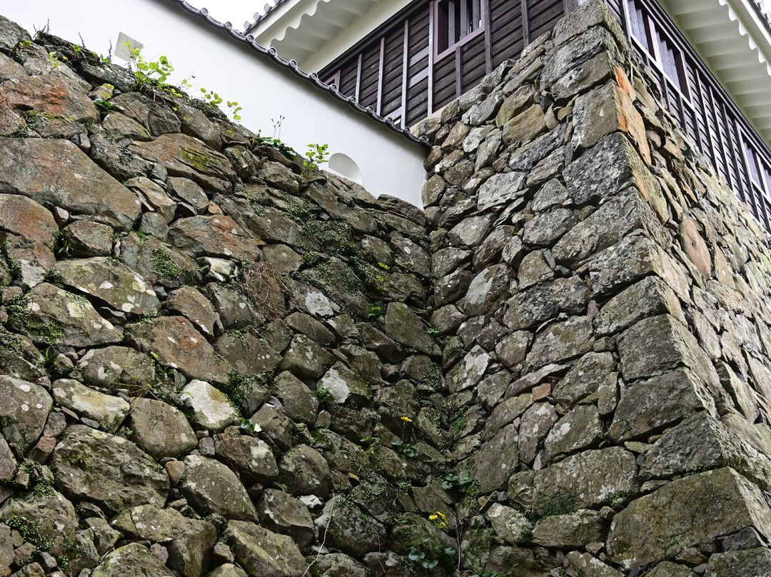 Hirado Castle景点图片