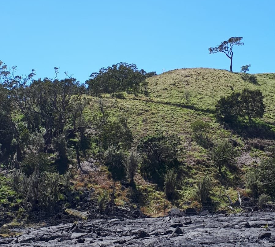 马鞍道-夏威夷大岛必去景点