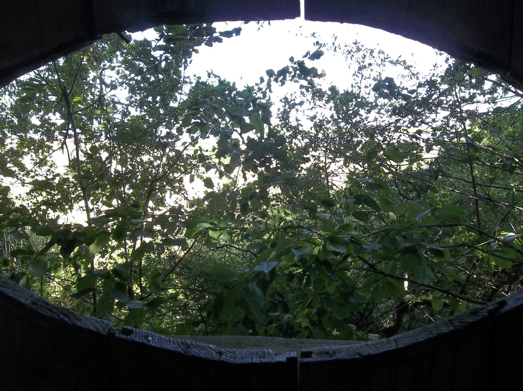 Domaine Départemental de Lindre-Lindre-Basse必去景点