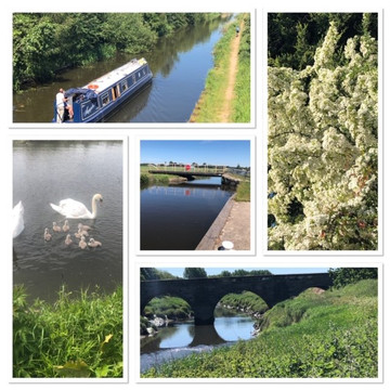 拉福德阿姆斯酒店主图