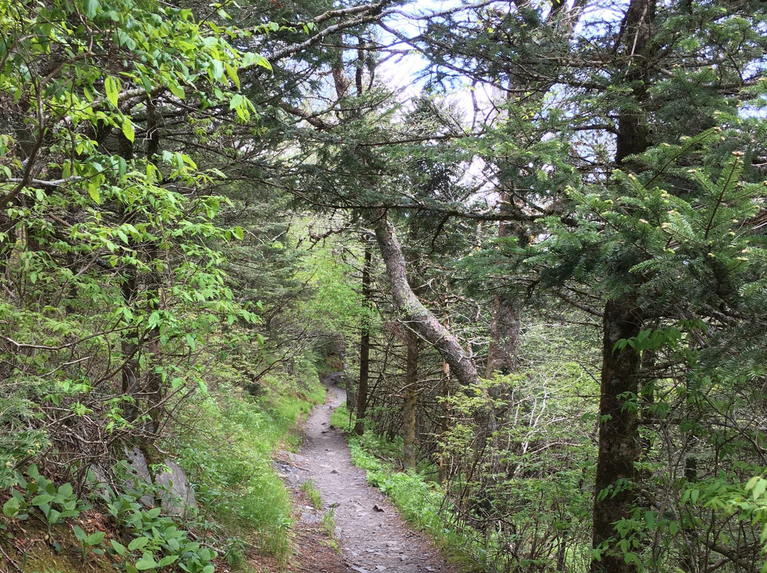 Charlies Bunion-大雾山国家公园必去景点