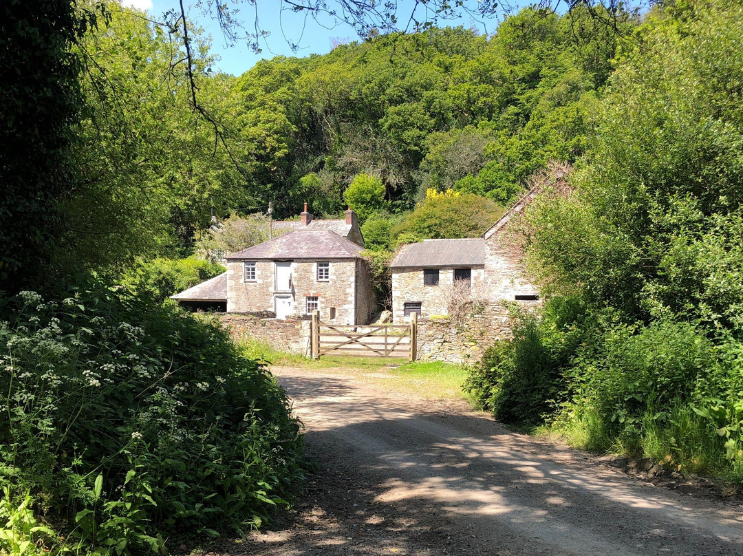 Grampound to Trewithen Circular Walk-Grampound必去景点