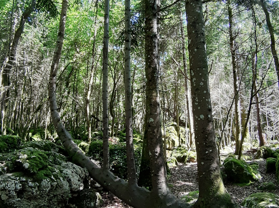 The Labyrinth Verte-Nebias必去景点