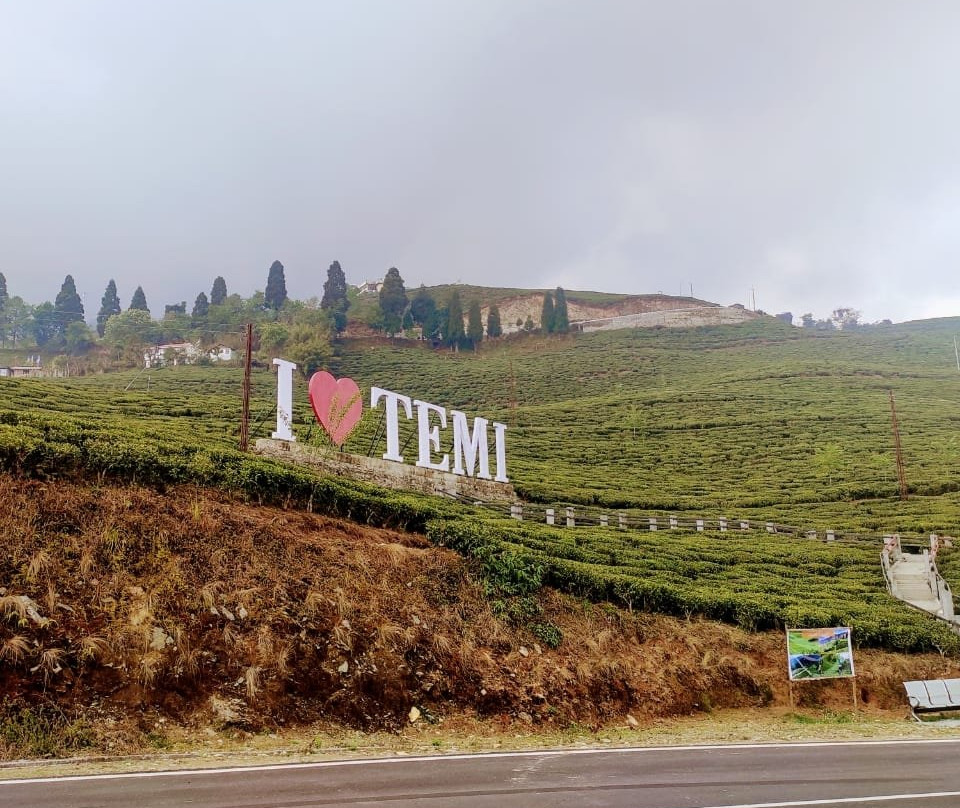 Temi Tea Garden-Temi必去景点
