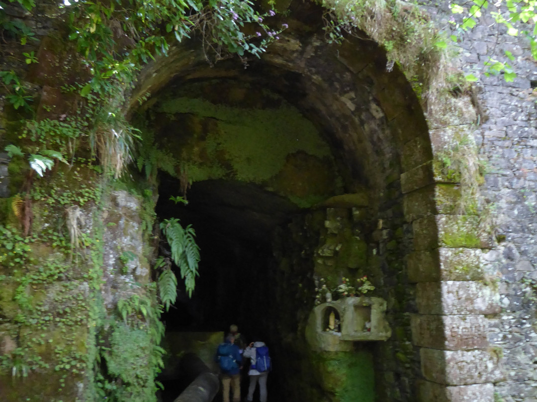 25 Fontes and Cascada da Risco-马德拉群岛必去景点