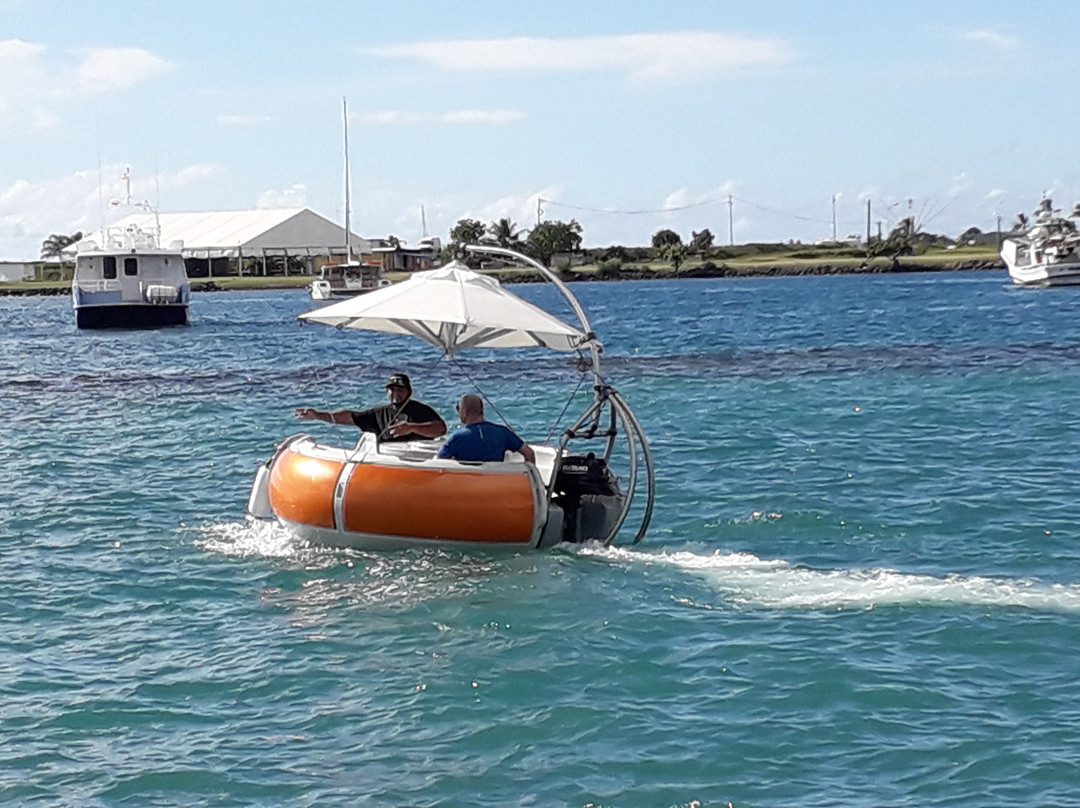 Donuts Boats Pacific - TAHITI景点图片