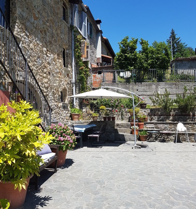 B&B Il Tulipano主图