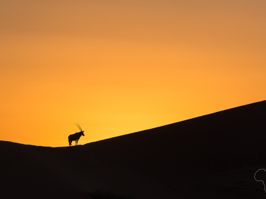 Unforgettable Africa-开普敦中心区必去景点