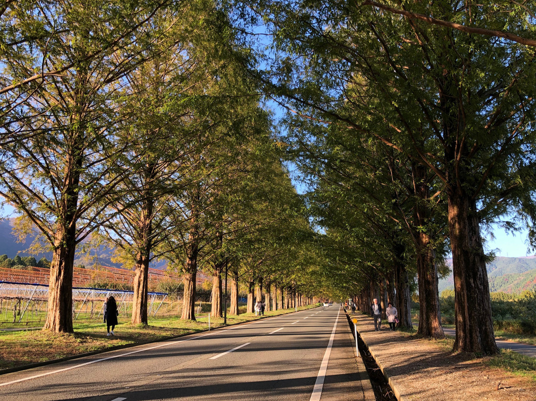 Makino Highland-高岛市必去景点
