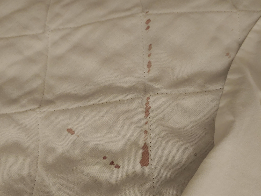 Rodeway Inn & Suites - Outlet Mall Asheville主图