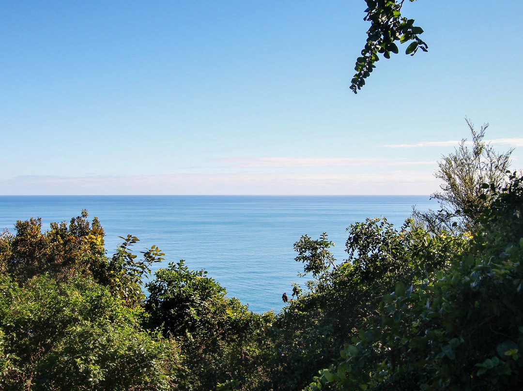 Knights Point Lookout景点图片