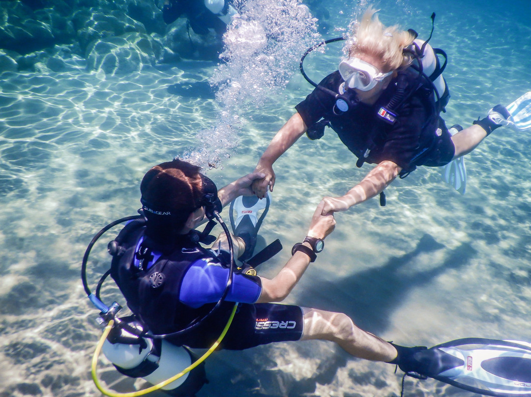 Wild Fun Dive-扎金索斯必去景点