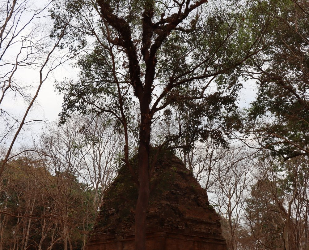 Sambo Preykuk Temples-磅同必去景点