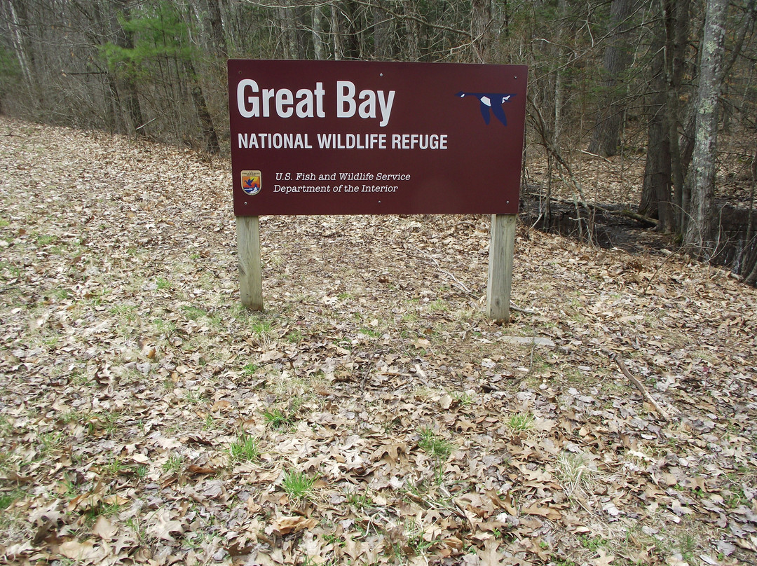 Great Bay National Wildlife Refuge景点图片