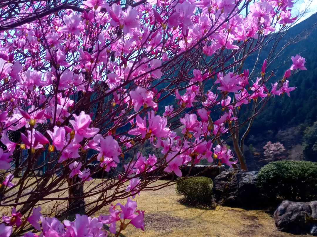 Naguri Lake (Arima Dam)-饭能市必去景点