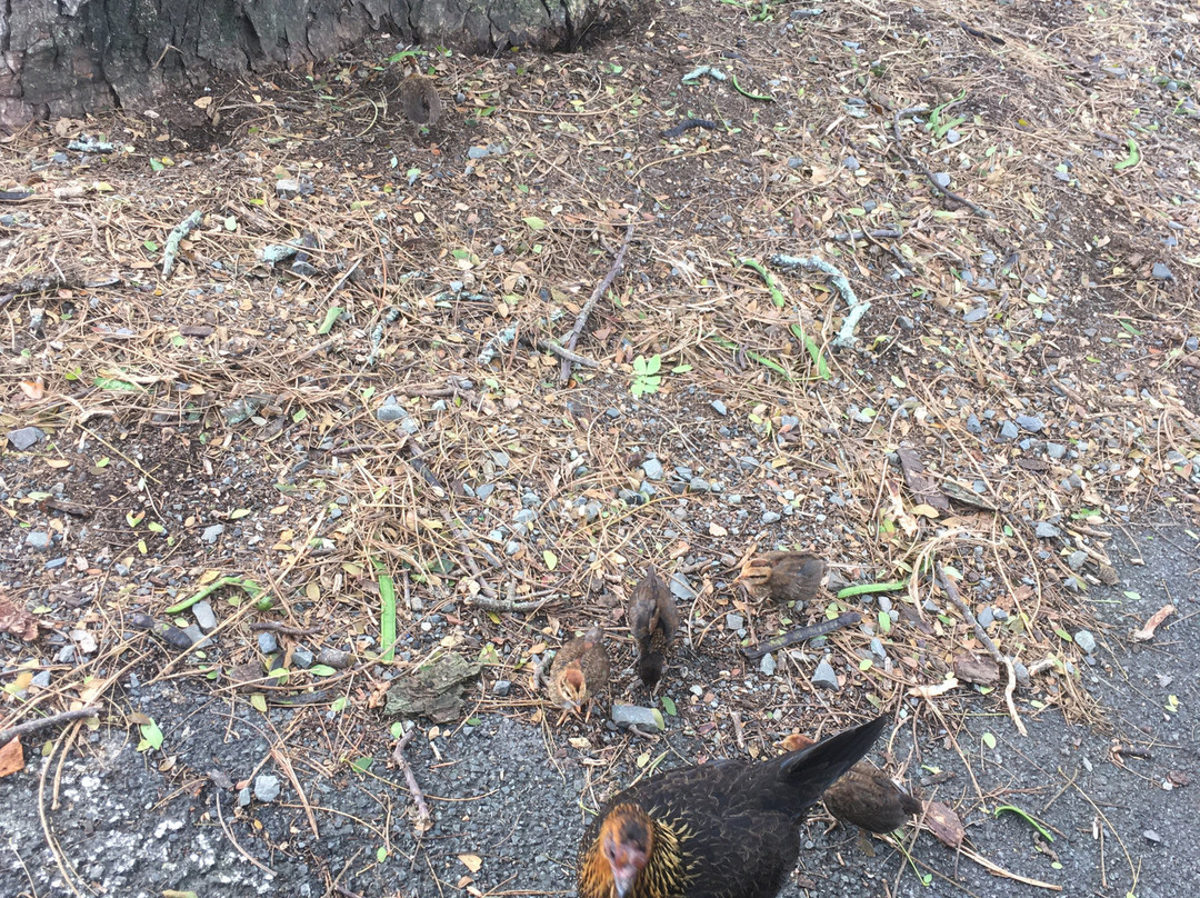 He'eia State Park-卡内奥赫必去景点