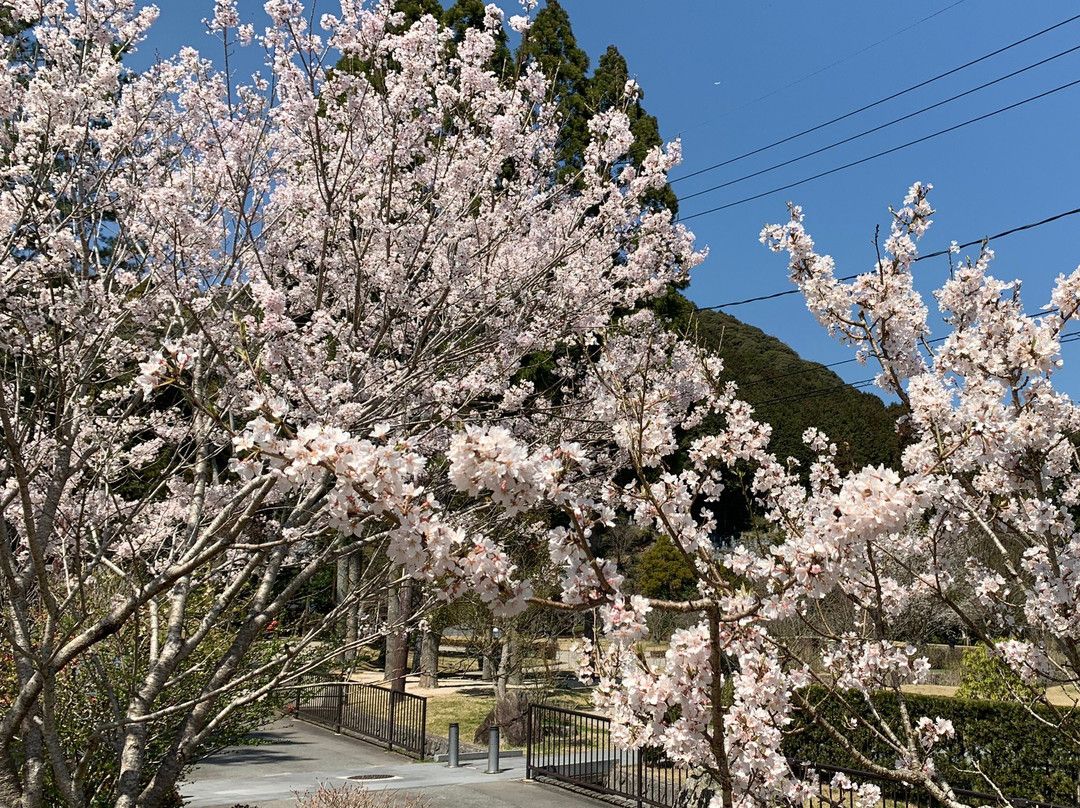 香山公園景点图片
