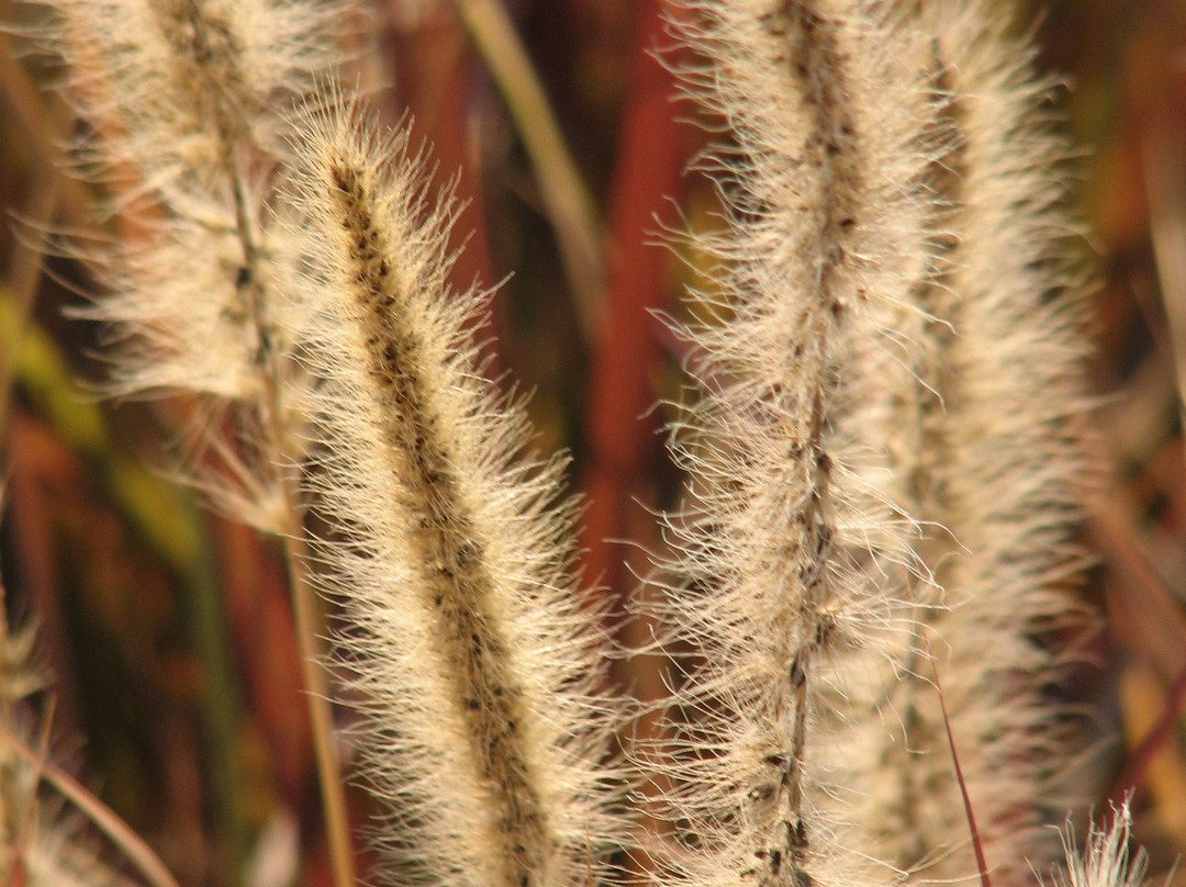Eshkol Park-贝尔谢巴必去景点