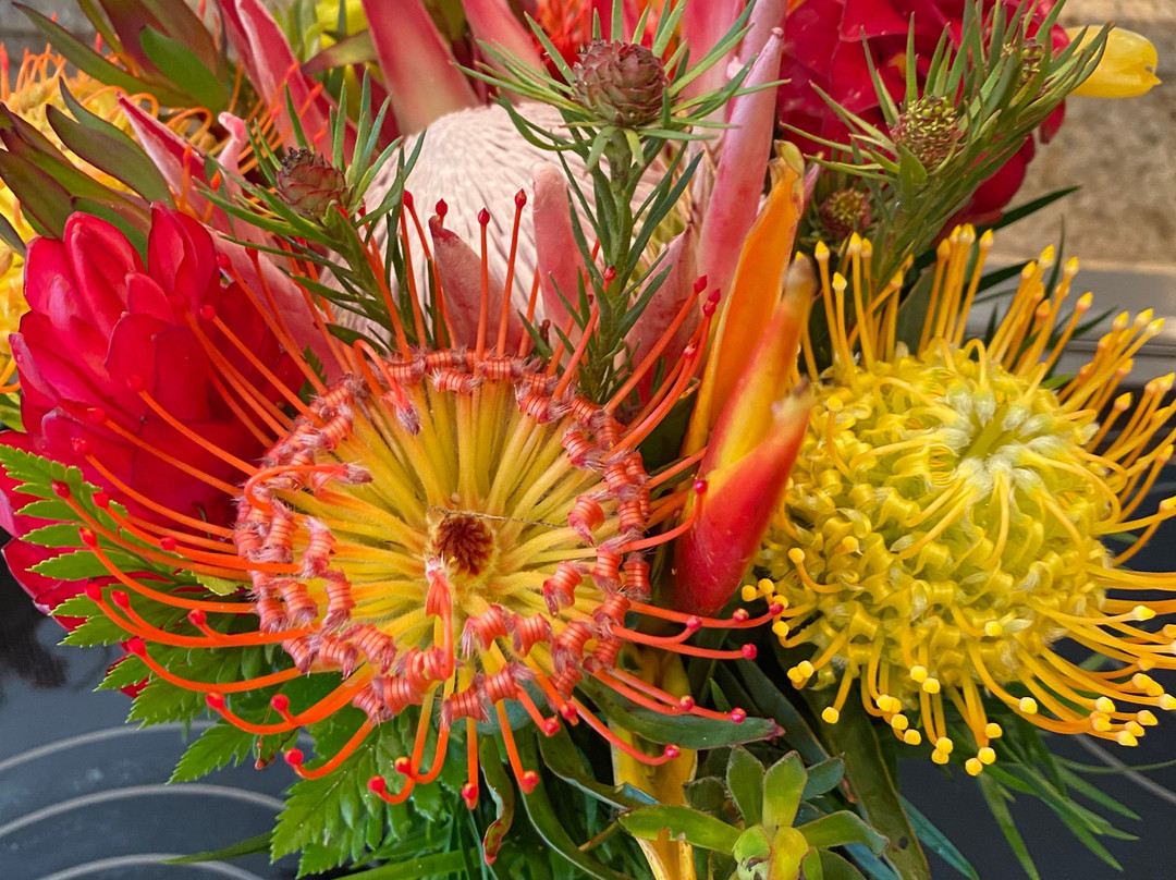 No Ka Oi Protea Farm-库拉必去景点