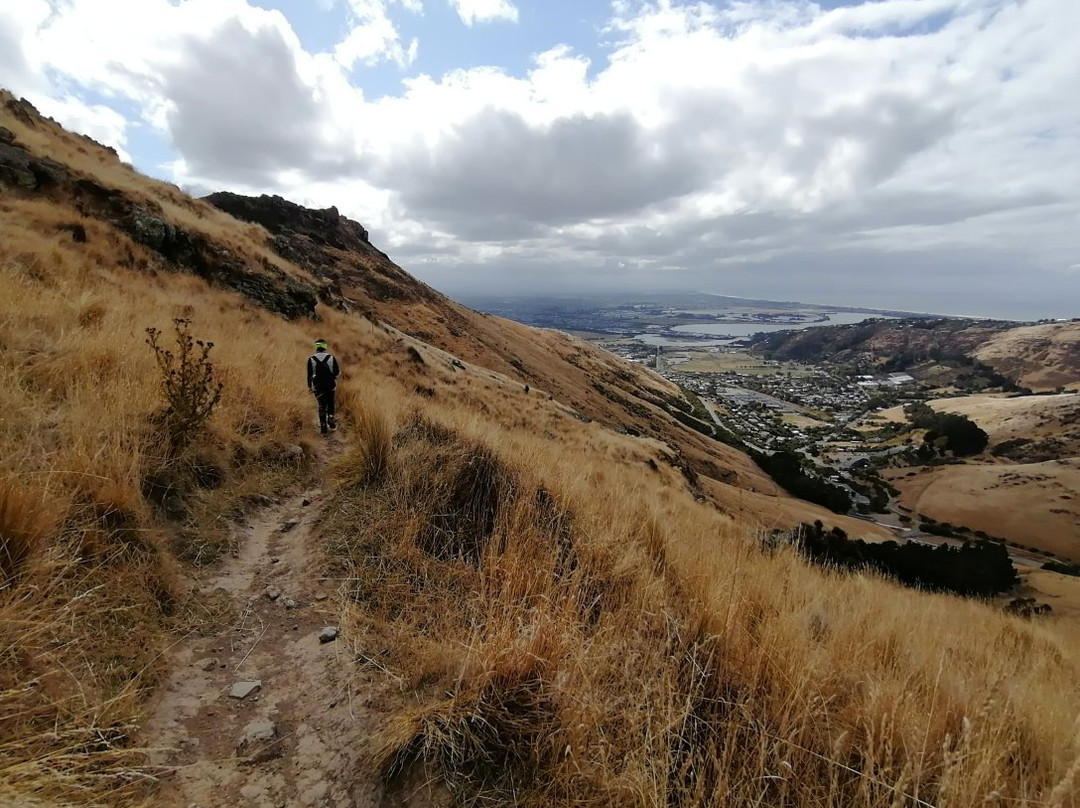 Bridle Path-基督城必去景点