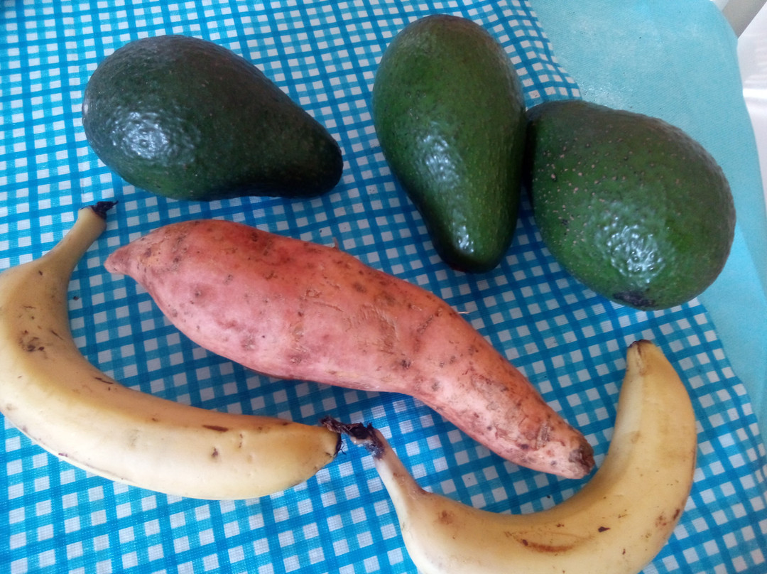 Humpy Nut World- 阿瑟顿必去景点