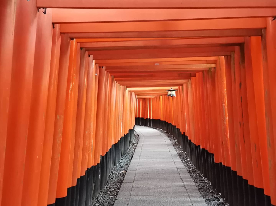 Fushimi Inari Shrine-Yaesu必去景点