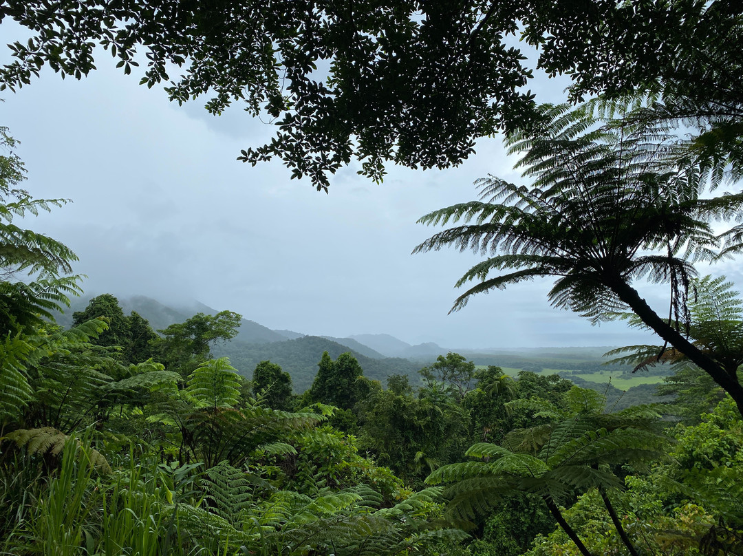Walu Wugirriga Lookout-Cow Bay必去景点