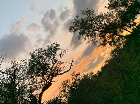 Lowveld Odyssey-霍德斯普鲁特必去景点