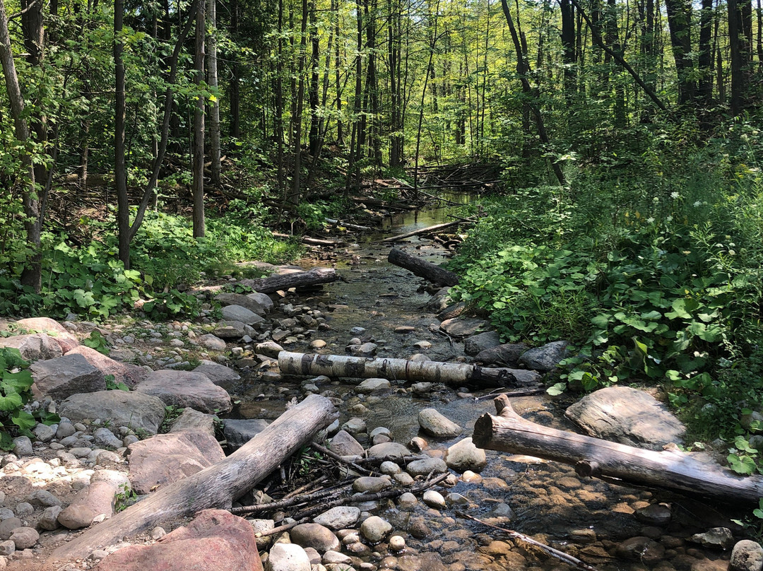 Terra Cotta Conservation Area-霍尔藤山市必去景点