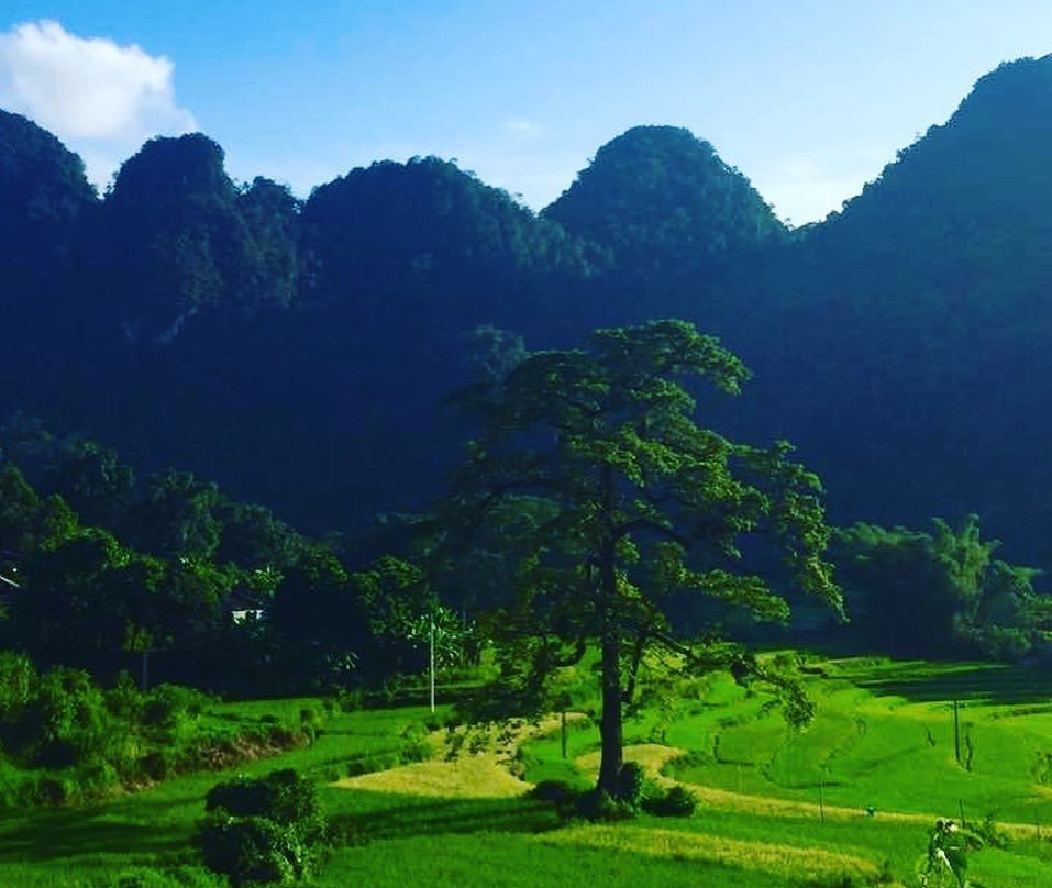 Ta Dung National Park-Dak Som必去景点