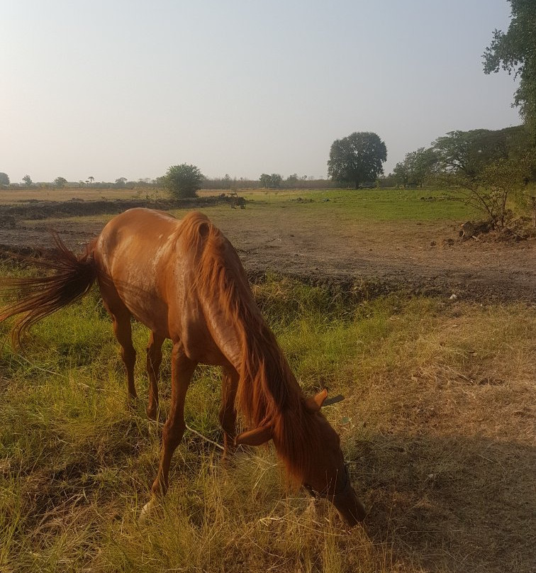 Wanlapa Farmstay主图