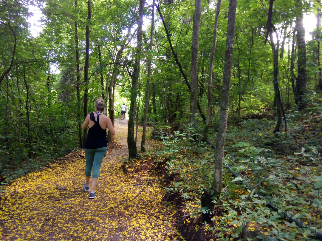 Viva Brotas Barbieri主图