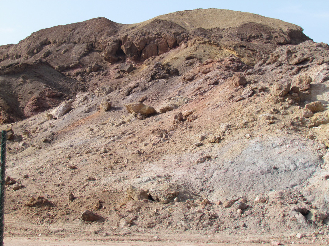 Arabian Wildlife Park-萨巴尼亚岛必去景点