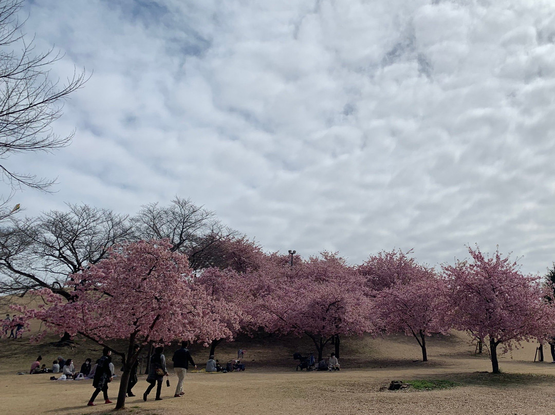 Isesaki Shimin no Mori Park-伊势崎市必去景点
