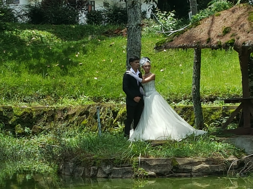 Glamping di Jungle, Ciwidey主图