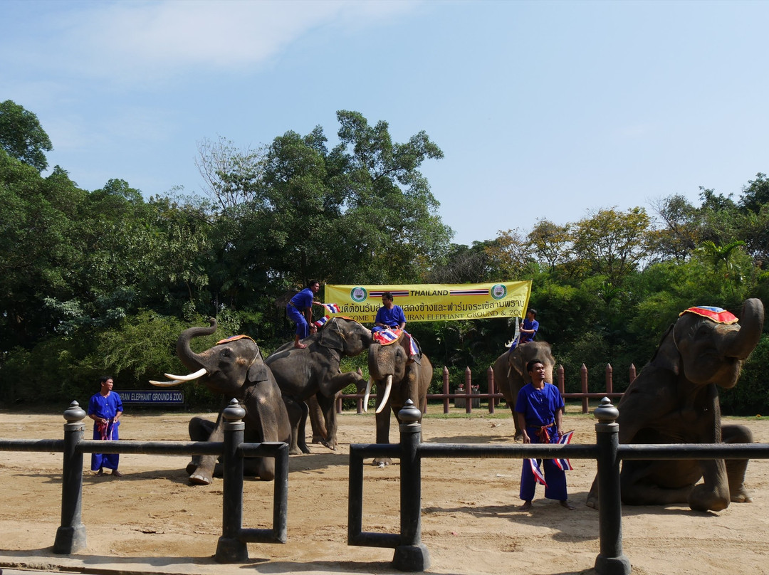 Samphran Elephant Ground & Zoo-佛统必去景点