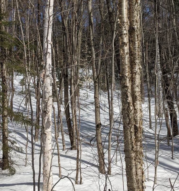 Haliburton Highlands Water Trails-Haliburton必去景点