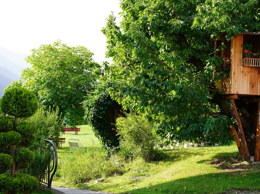 Residence Schiestlhof主图