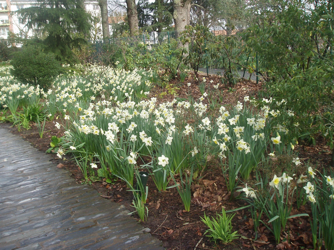 Parc de Procé景点图片