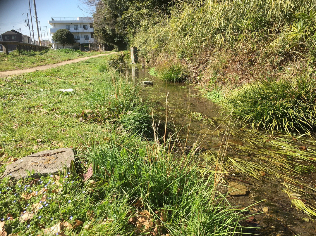 Mamashitayusui-国立市必去景点