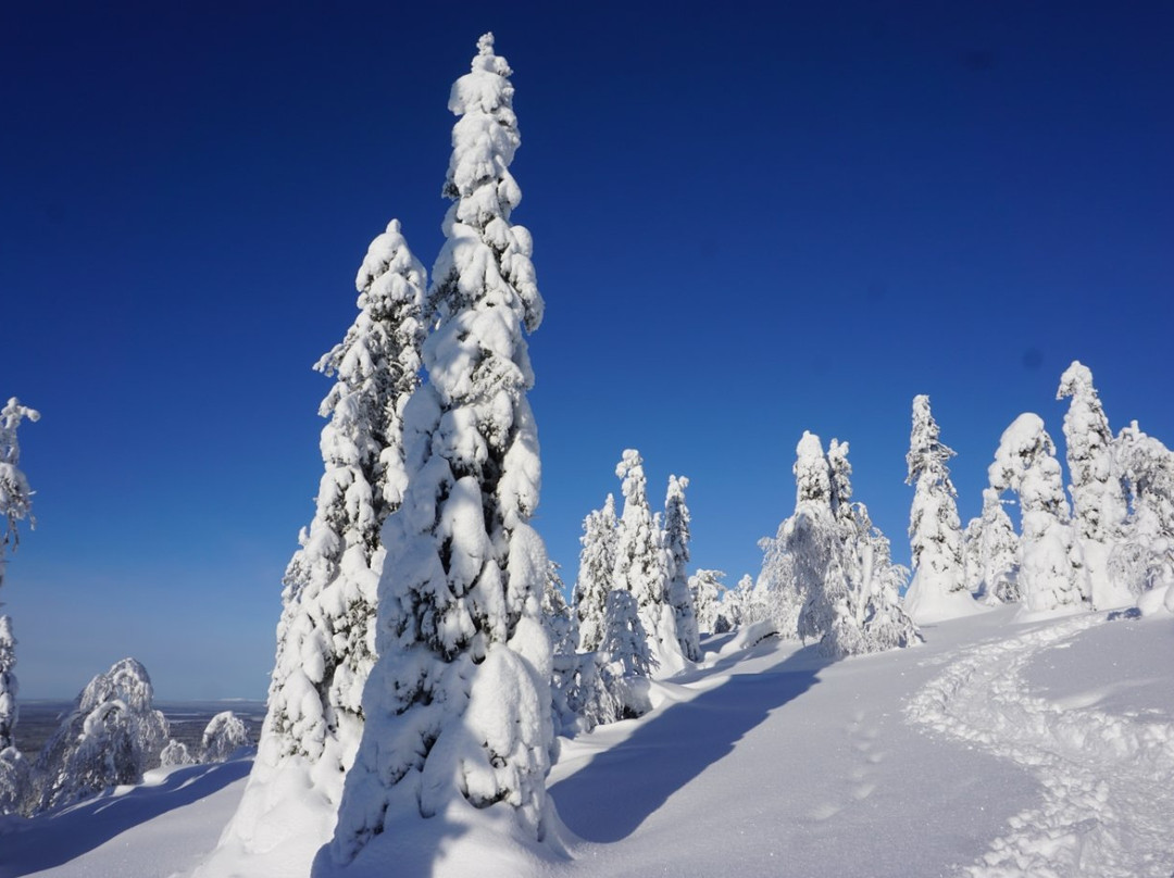 Sallatunturi Snowshoe Route-Salla必去景点