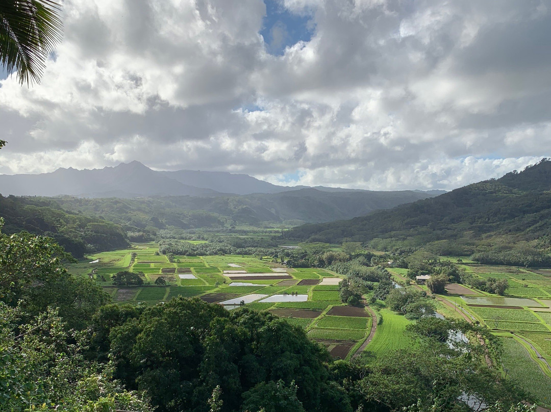 Hanalei Valley Lookout-普林斯维尔必去景点