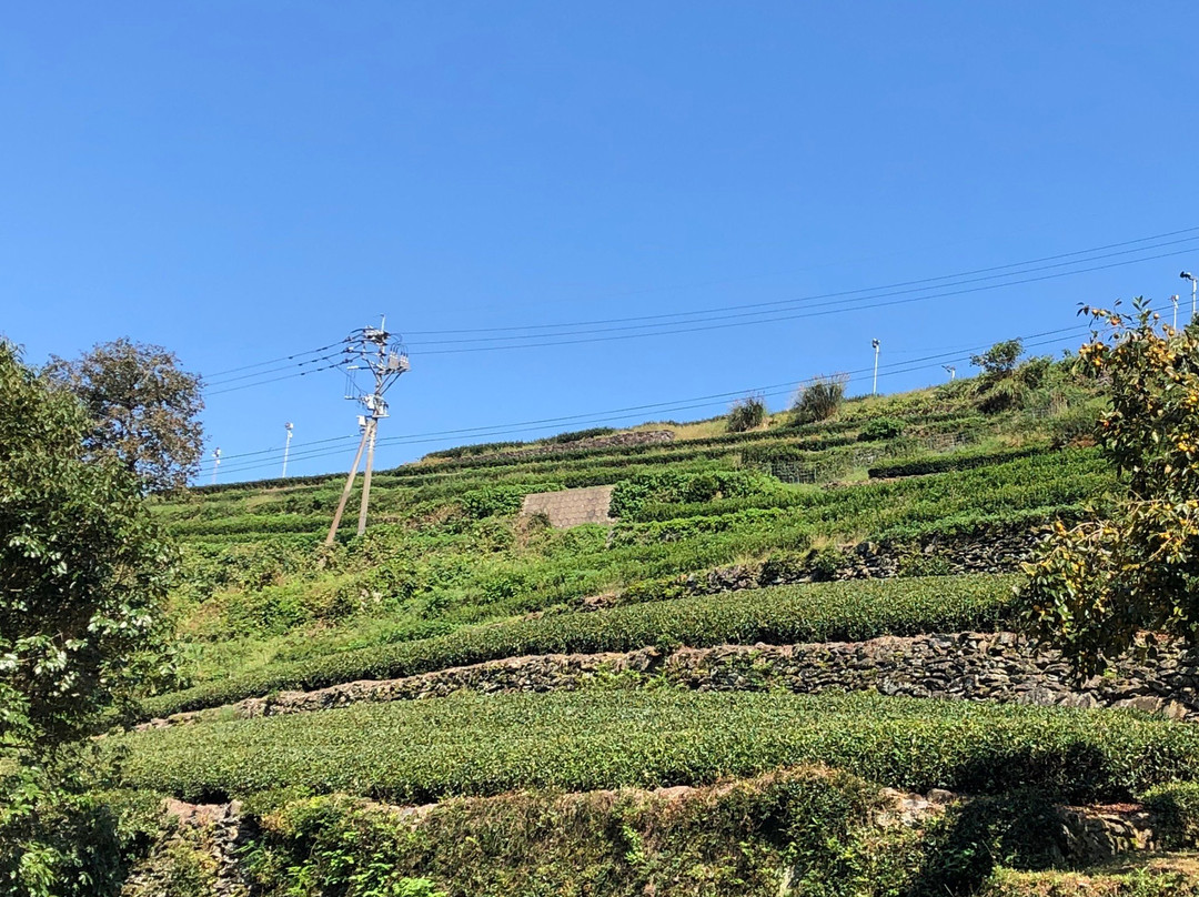 Shiba no Yu-嬉野市必去景点